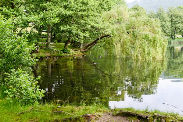 Lake Origlio near Lugano — Stock Photo, Image