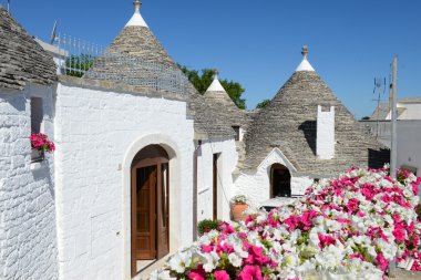 Alberobello kasaba trulli evleriyle
