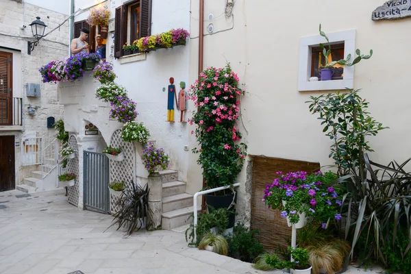 Rues de Polignano une jument — Photo