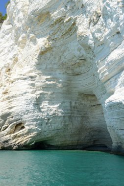 Cave on the coast of Gargano National park clipart