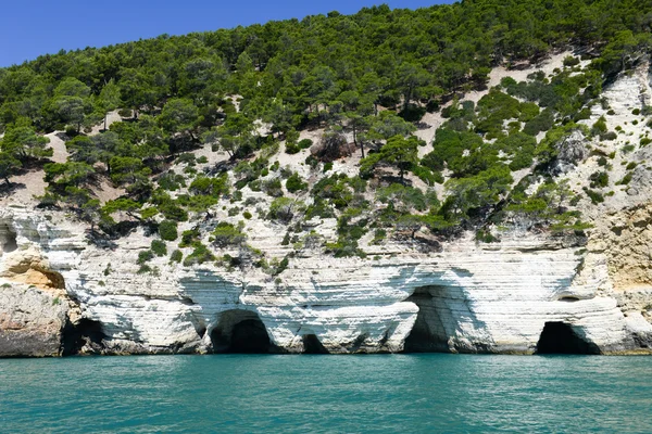 Cueva en la costa del Parque Nacional Gargano —  Fotos de Stock