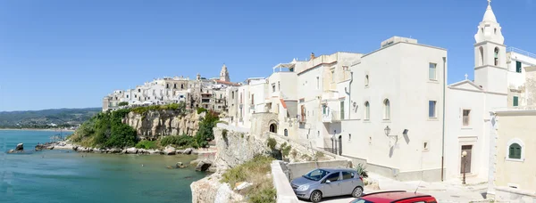 Blick auf vieste auf Apulien — Stockfoto