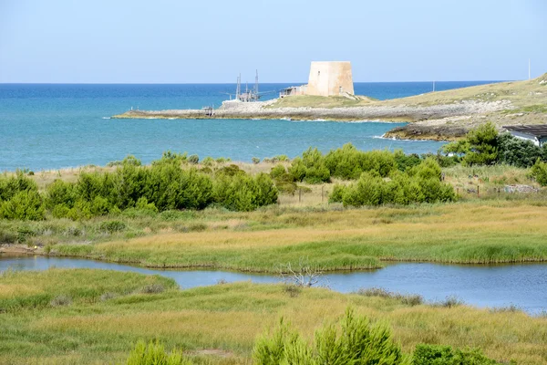 Old watchtower near Vieste — Stock Photo, Image