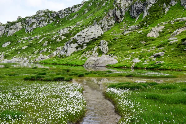 Lake Leit op kanton Ticino — Stockfoto