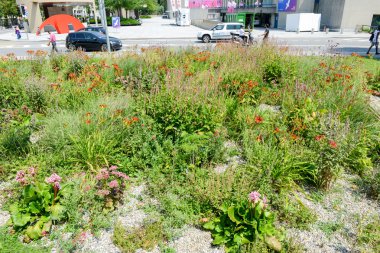 Güzel dekore Çiçeklik, Lugano
