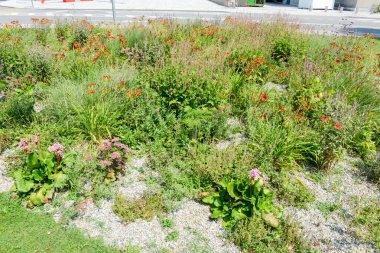 Güzel dekore Çiçeklik, Lugano