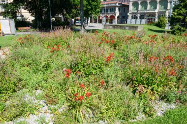 Çiçeklik ve çalılar, Lugano
