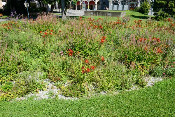 Cama de flores e arbustos em Lugano — Fotografia de Stock