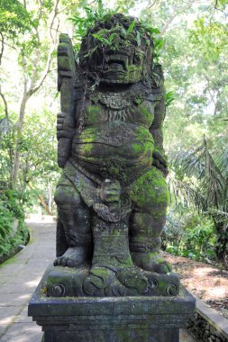 Kutsal maymun orman heykeli