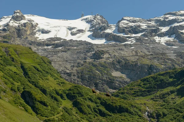 Monte Titlis Sobre Engelberg Los Alpes Suizos — Foto de Stock