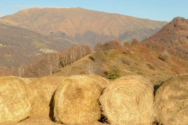 Paysage Vallée Colla Près Lugano Sur Partie Italienne Suisse — Photo