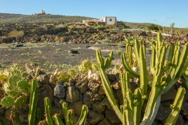 İspanya 'nın Kanarya Adaları' ndaki Lanzarote 'deki Orzola üzerinde manzara