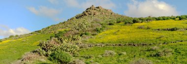 İspanya 'daki Kanarya Adası' ndaki Lanzarote 'de Haria yakınlarındaki manzara