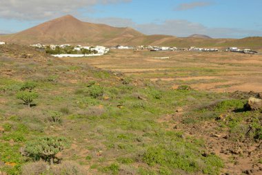 İspanya 'nın Lanzarote adasındaki Costa Teguise köyü yakınlarındaki manzara.