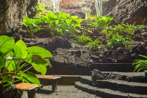 Lanzarote Spagna Gennaio 2021 Jameos Del Agua Dell Artista Cesar — Foto Stock