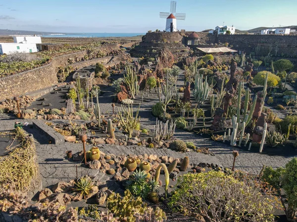 Museum Jardin Cactus Lanzarote Canary Island Spain — Stock Photo, Image