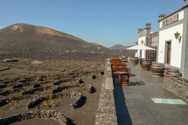 Lanzarote, İspanya - 19 Ocak 2021: Lanzarote Adası, İspanya 'daki La Geria şarap mahzeni