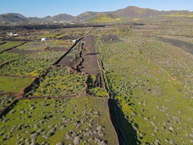 İspanya 'daki Lanzarote kanarya adasında manzara