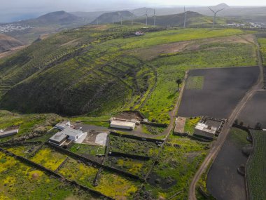 İspanya 'daki Lanzarote kanarya adasında manzara