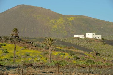 İspanya 'daki Lanzarote kanarya adasında manzara