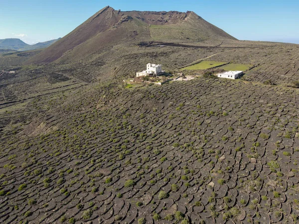 Campos Bodega Isla Canaria Lanzarote España —  Fotos de Stock