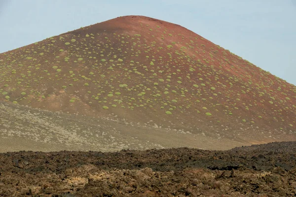 Landscape Canary Island Lanzarote Spain — Stock Photo, Image