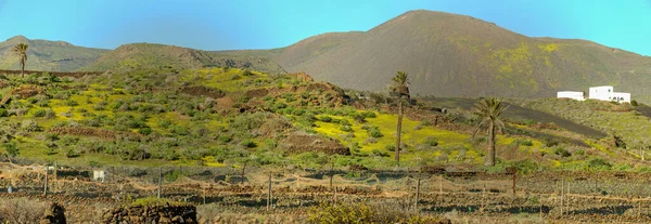 Landscape Canary Island Lanzarote Spain — Stock Photo, Image