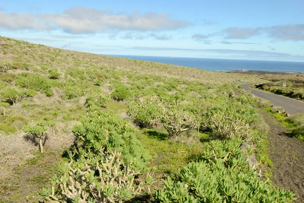 Пейзаж Канарейном Острове Лансароте Испании — стоковое фото