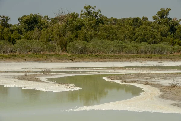 Lago Salado Larnaca Chipre — Foto de Stock