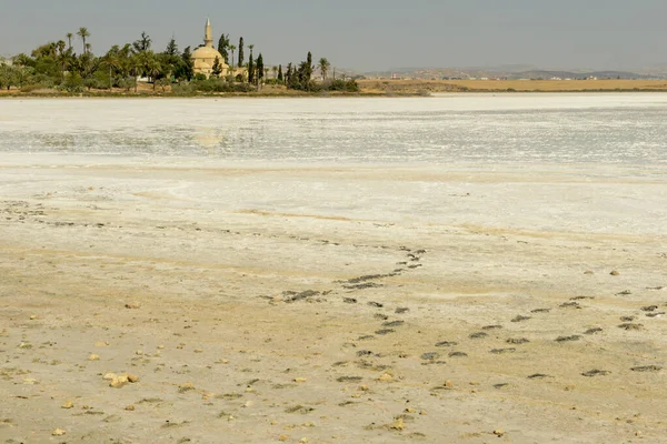 Hala Sultan Tekke Mosquee Salt Lake Larnaca Cyprus — Stock Photo, Image