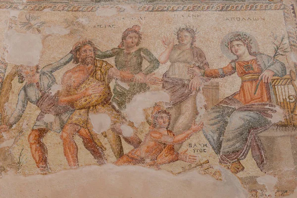 Mosaici Romani Casa Dioniso Parco Archeologico Nea Paphos Nella Città — Foto Stock