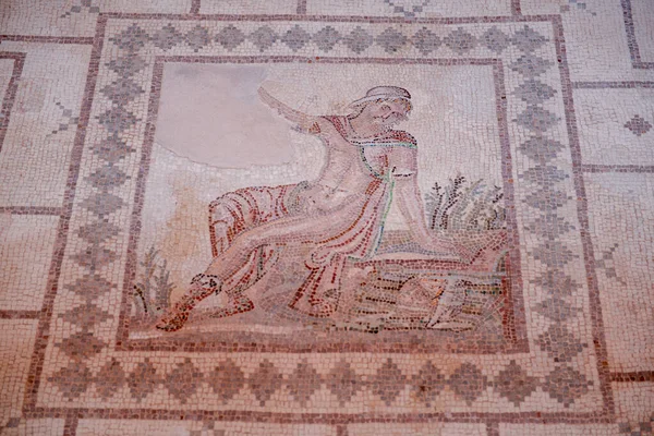 Mosaici Romani Casa Dioniso Parco Archeologico Nea Paphos Nella Città — Foto Stock