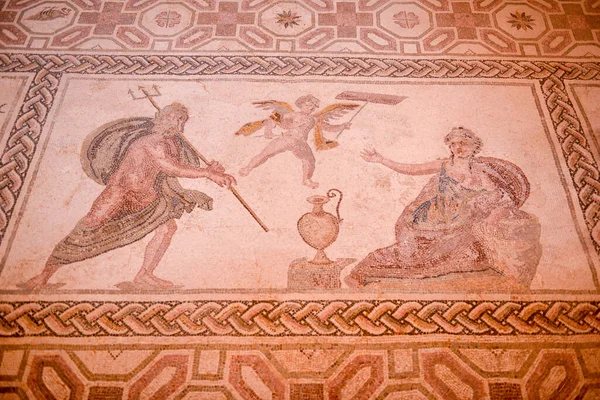 Mosaici Romani Casa Dioniso Parco Archeologico Nea Paphos Nella Città — Foto Stock