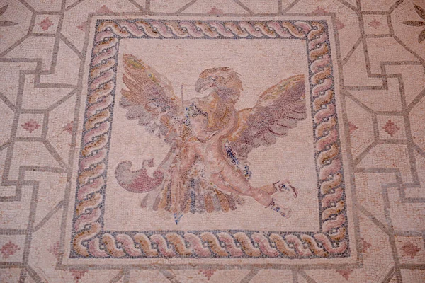 Mosaici Romani Casa Dioniso Parco Archeologico Nea Paphos Nella Città — Foto Stock