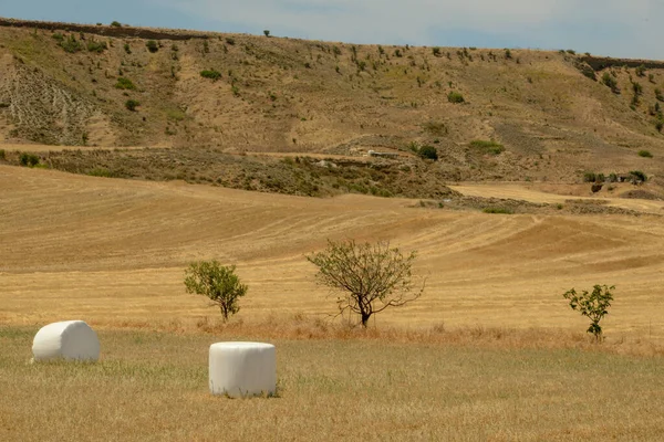 Landscape Field Hay Bales Cyprus Island — Photo