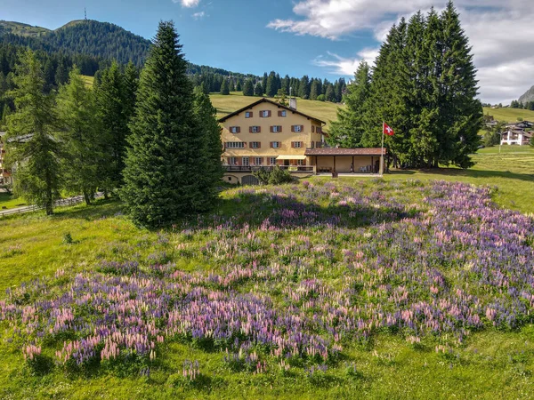 Valbella Switzerland July 2021 Flower Garden Front House Valbella Swiss — Zdjęcie stockowe