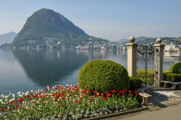 Ogród Botaniczny Jezioro Lugano Włoskiej Części Szwajcarii — Zdjęcie stockowe