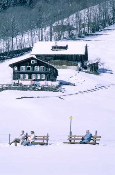 Turistler kar ortasında bankların üzerinde rahatlatıcı — Stok fotoğraf