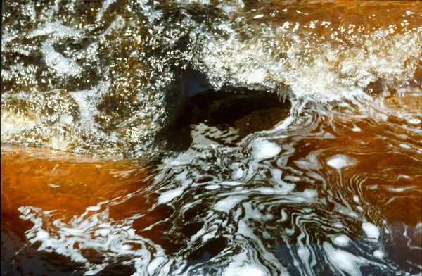 背景のための抽象的な水 — ストック写真