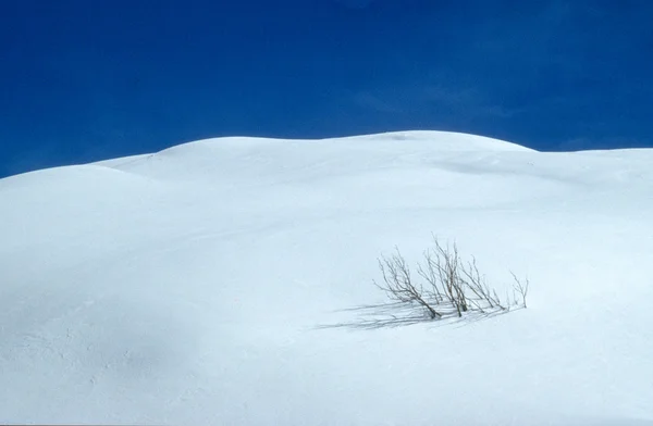 Colline avec neige — Photo