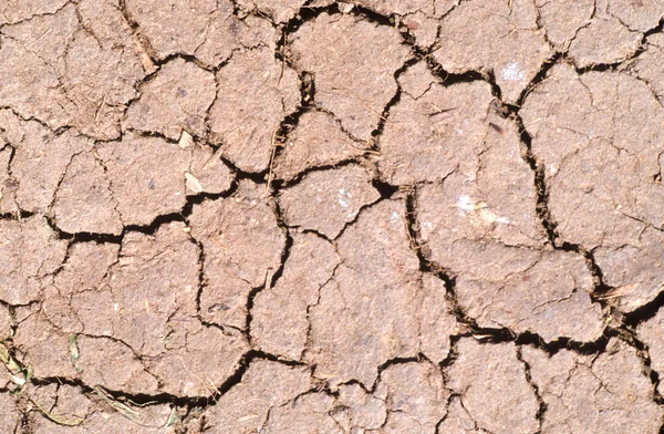 Tierra de arcilla agrietada —  Fotos de Stock