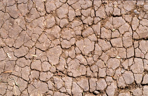 Tierra de arcilla agrietada —  Fotos de Stock