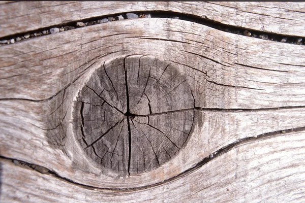 Textura de madeira — Fotografia de Stock