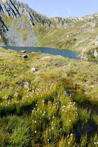 Alpin lake in maggia valley — Stockfoto
