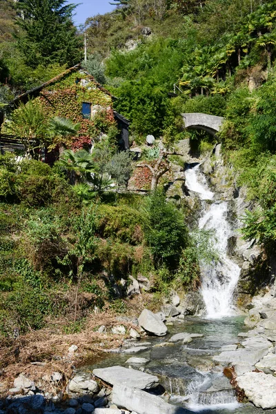 Vakantiehuis dwaas van klimop op Verscio — Stockfoto