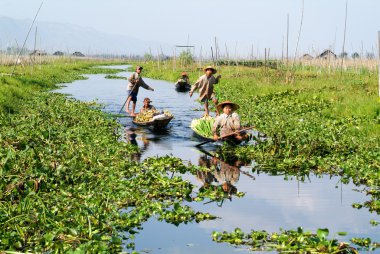 İnsanlar bir tekne http://i50.tinypic.com/5yvink.jpg Thauk Köyü kürek üzerinde