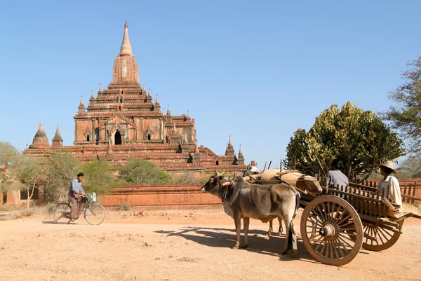 Bagan의 고고학 사이트 — 스톡 사진