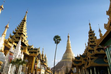 Yangon Shwedagon Pagoda