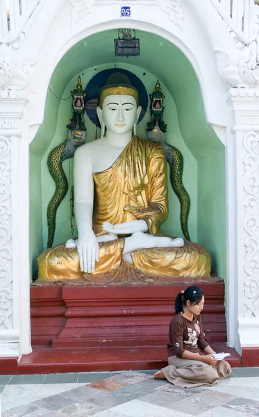 Žena se modlí na oblast Shwedagon Pagoda — Stock fotografie