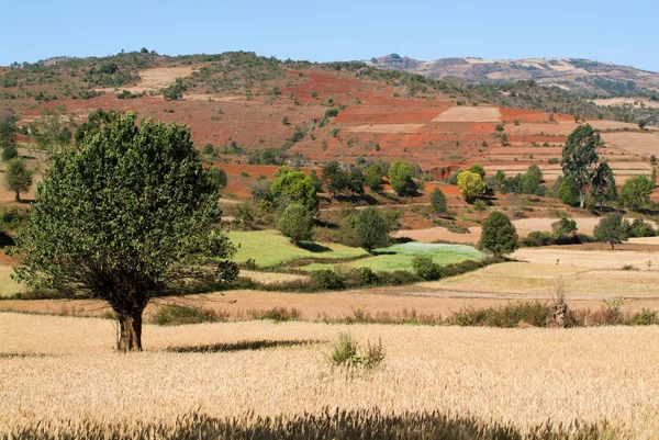 Rural landscape on the countryside of Pindaya — Stock Photo, Image